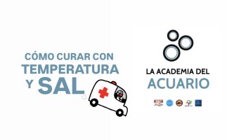 Cómo curar con temperatura y sal.